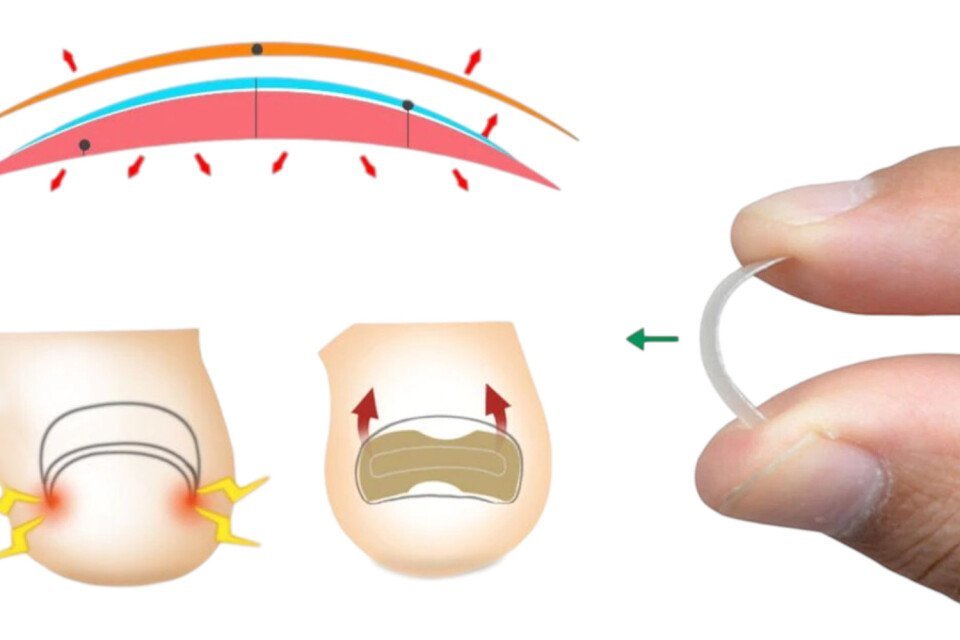 storagemedialibrary18505-galerija-04-maaa65-b0d723fc1ce2c2b0ef79c52c3c416660-1