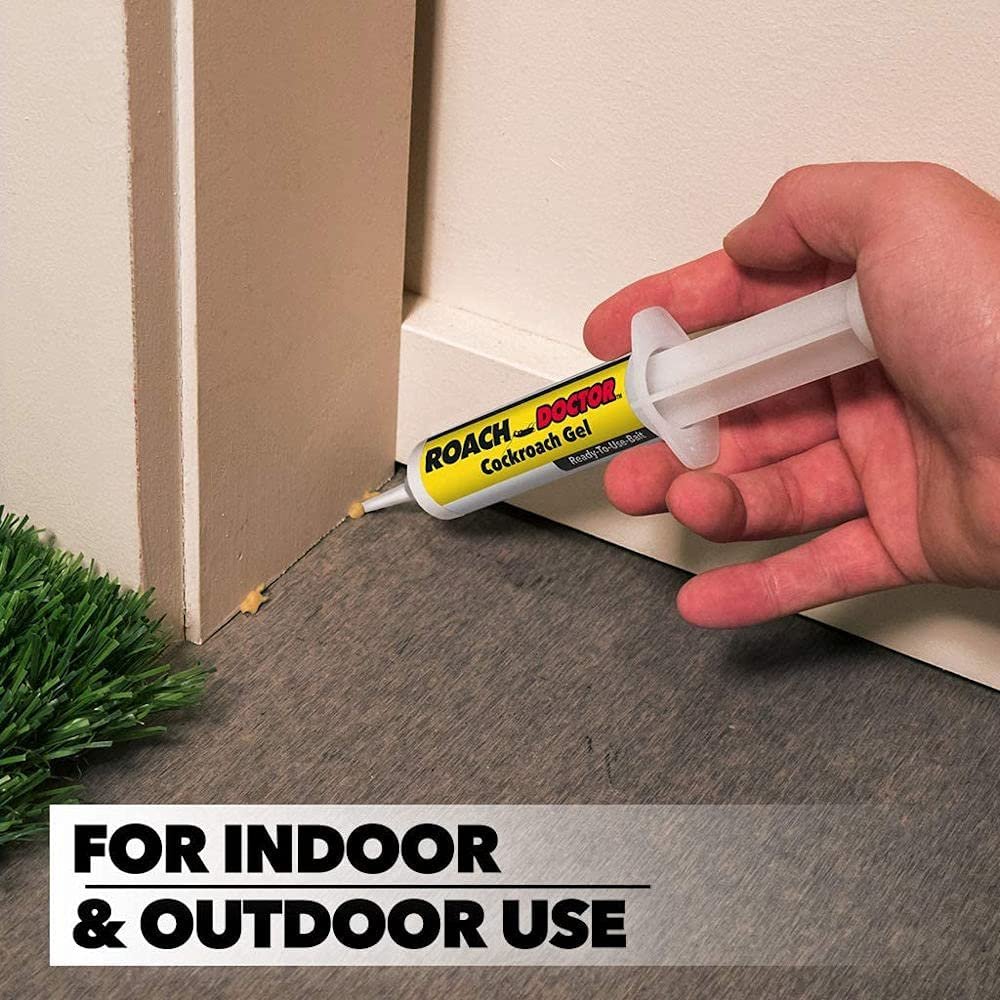 71h35JhcTSS._AC_SL1000_